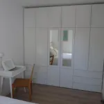 Le Nid De La Mouette